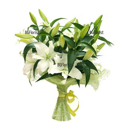 Send bouquet of white lilies to Sofia