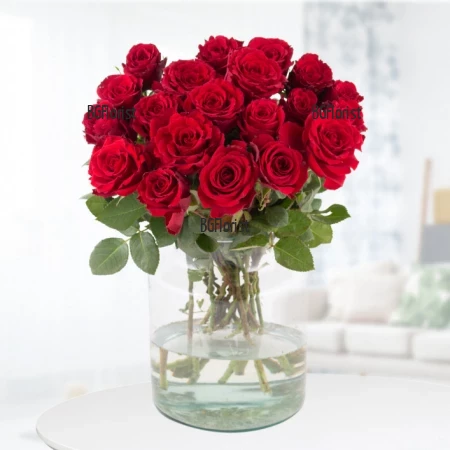 Send bouquet of red roses to Sofia by courier