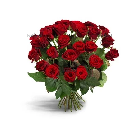 Send bouquet of red roses to Sofia by courier