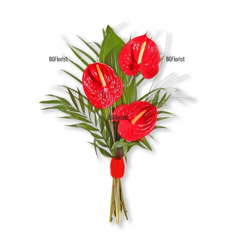 Send exotic bouquet of three red anthuriums to Sofia