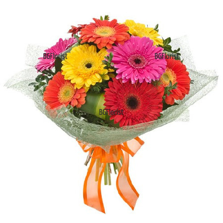 Send bouquet of mixed gerberas to Sofia