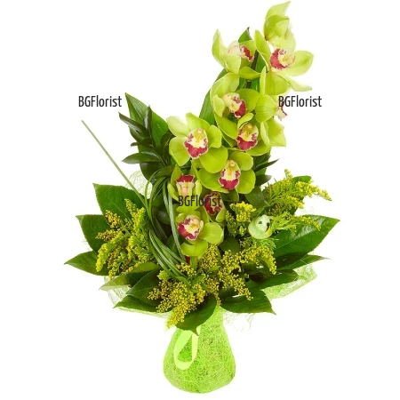 Send luxury bouquet of Cymbidium orchid to Sofia