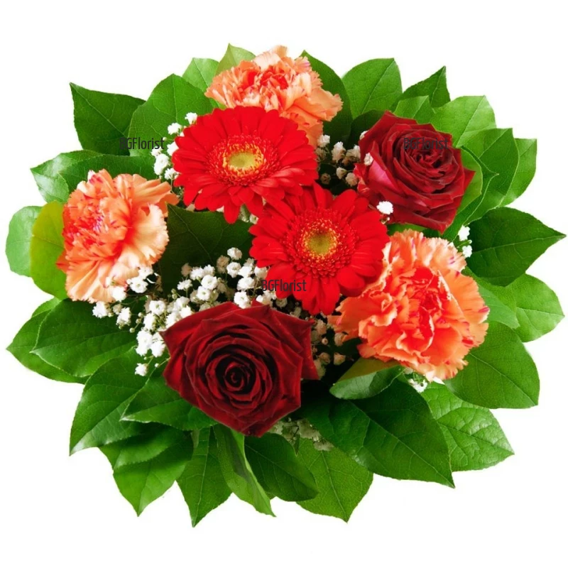 Send bouquet of roses and carnations to Sofia
