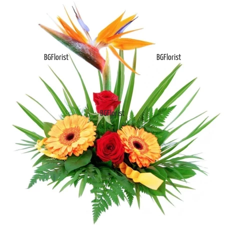 Send arrangement with strelitzia and flowers to Sofia