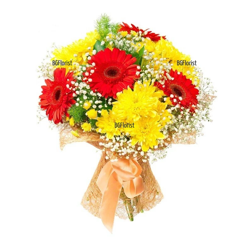 Send bouquet of mixed flowers to Sofia