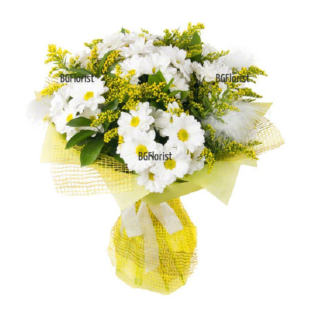 Send bouquet of chrysanthemums Smile to Sofia