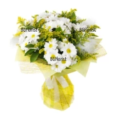 Send bouquet of chrysanthemums and greenery to Sofia. The delivery is carried out by personal couriers.