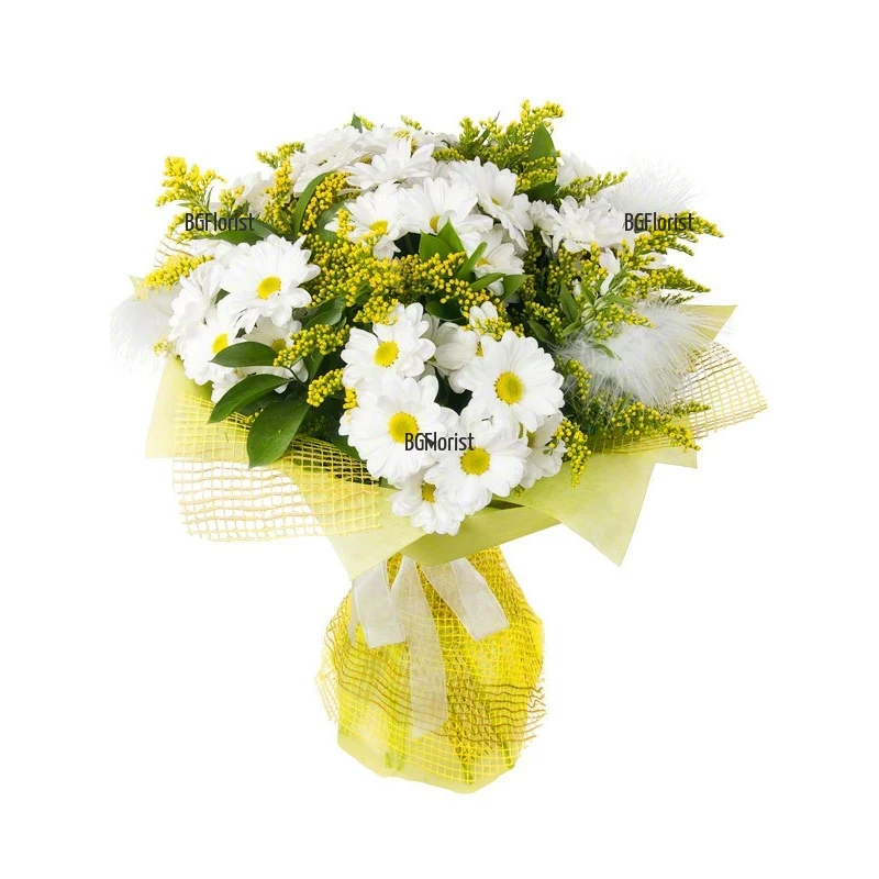 Send bouquet of chrysanthemums Smile to Sofia