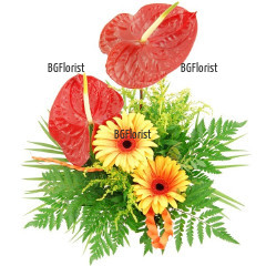 Original, exotic combination of red anthuriums, gerberas and greenery with flower delivery to Sofia and thoughout the country