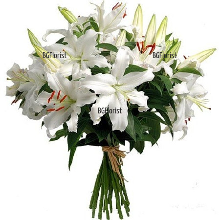 Send a bouquet of white lilies by courier to Sofia.