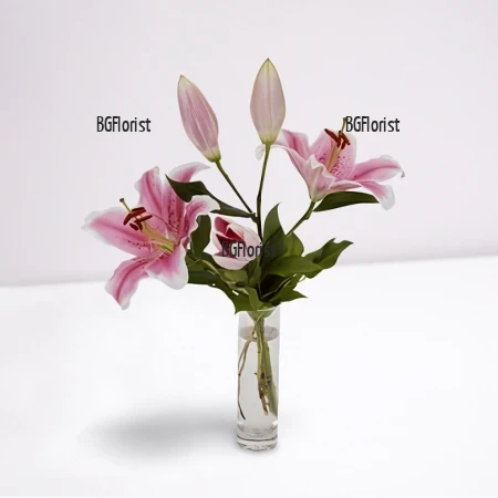 Send aromatic lily and greenery to Sofia