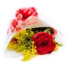Send bouquet of one red rose