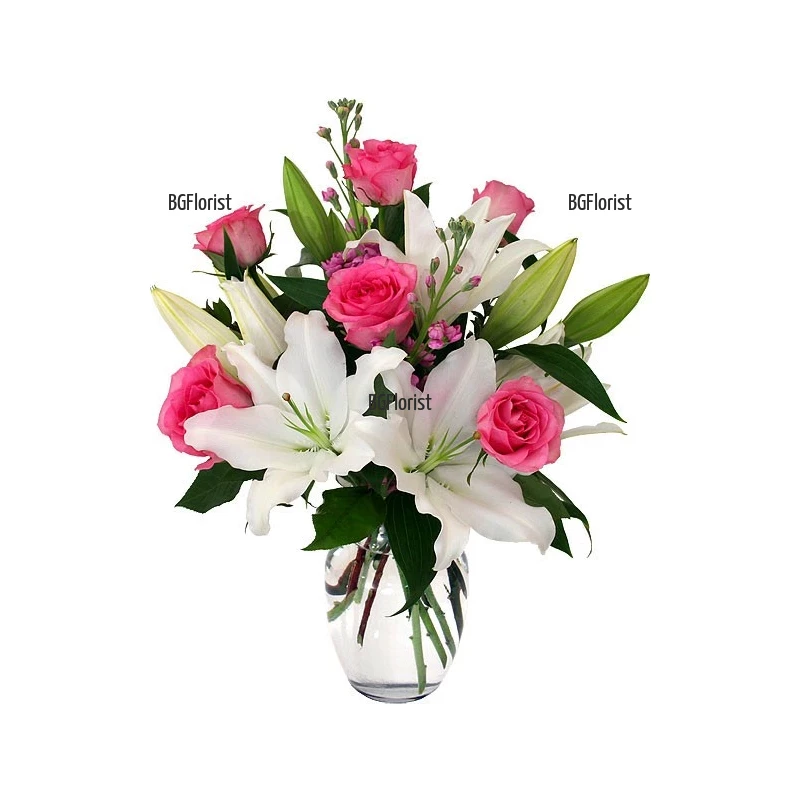 Send bouquet of white lilies and pink roses to Sofia