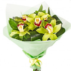 Send bouquet of of orchids to Sofia