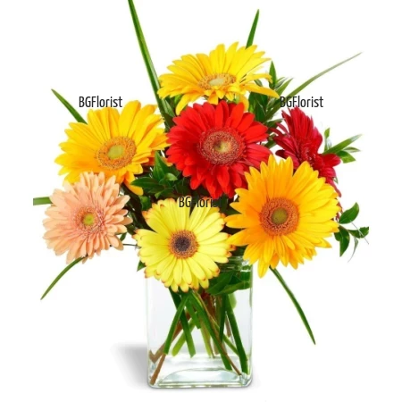 Send bouquet of gerberas in glass vase to Sofia