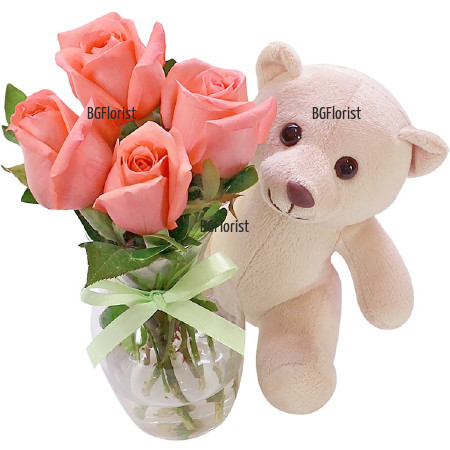 Send pink roses and Teddy Bear to Sofia
