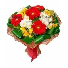 Send modern bouquet of flowers to Sofia