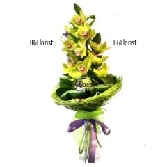Доставка на Букет от орхидея Цимбидиум и зеленина