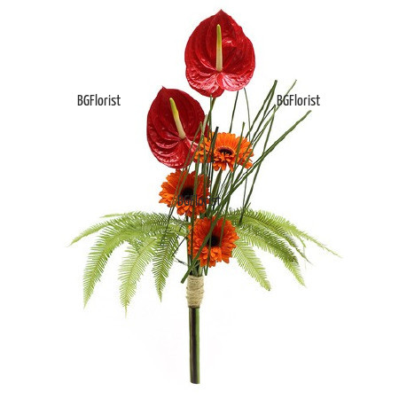 Send bouquet of anthuriums and gerberas to Sofia