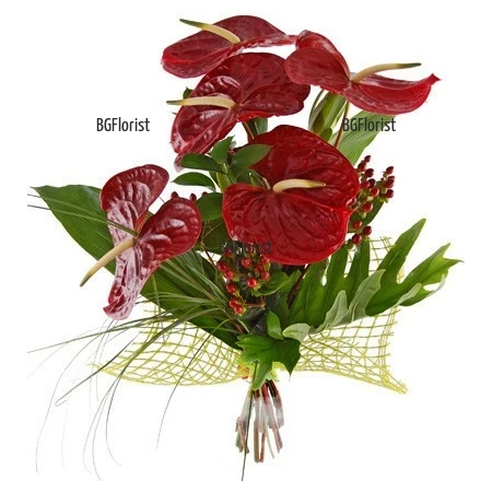 Send bouquet of red athuriums to Sofia.