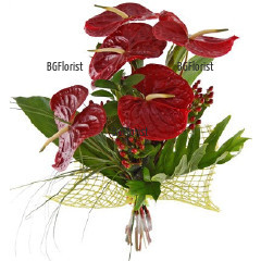 Send bouquet of red athuriums to Sofia.