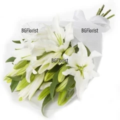Send classic bouquet of white lilies to Sofia