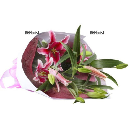 Send bouquet of pink lilies to Sofia