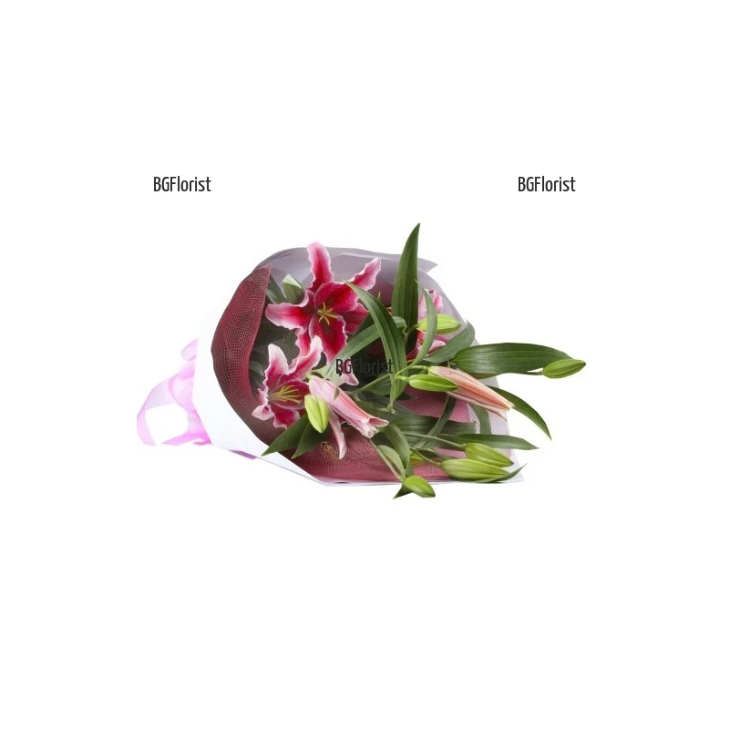 Send bouquet of pink lilies to Sofia