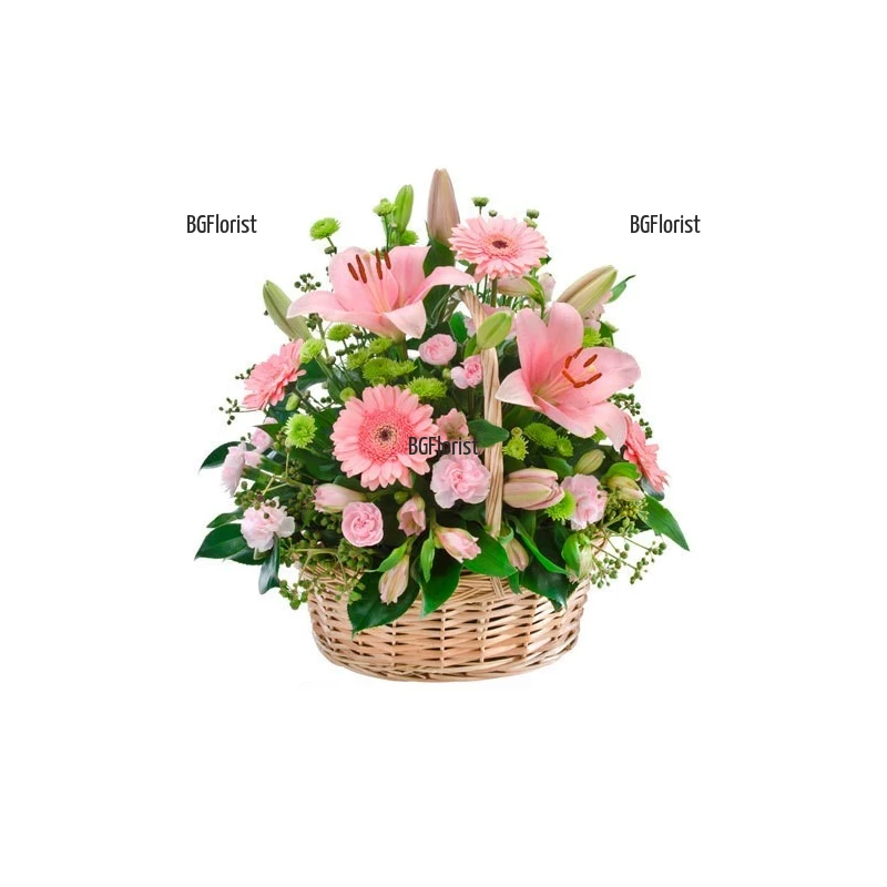 Send Big basket with mixed flowers to Sofia