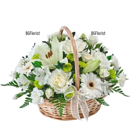 Send basket with white flowers to Sofia