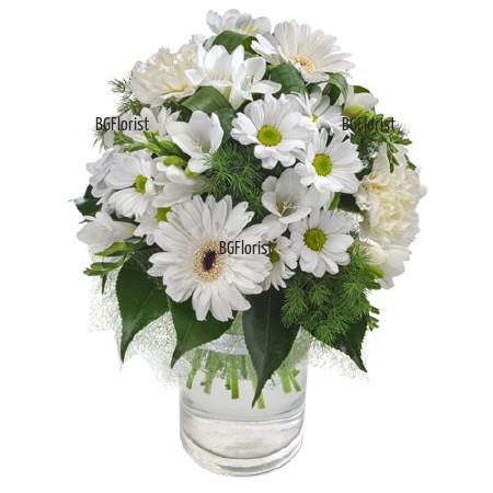 Send Bouquet in white to Sofia
