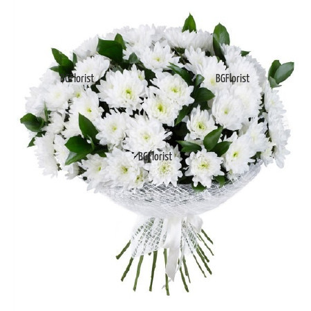 Send bouquet of white chrysanthemums to Sofia