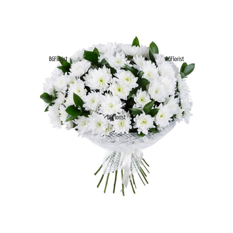 Send bouquet of white chrysanthemums to Sofia