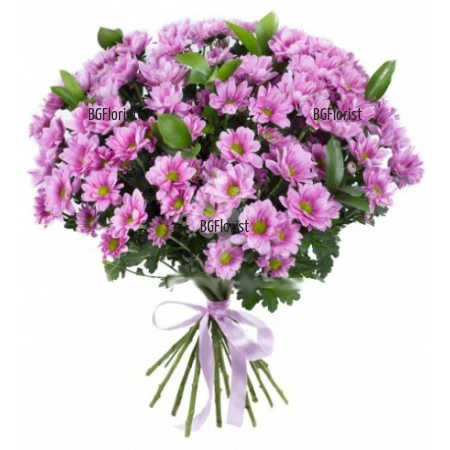 Send buquet of pink chrysanthemums to Sofia