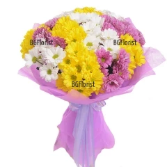 Vibrant bouquet of chrysanthemums in different colours, wrapped in gift paper, tied with a ribbon.