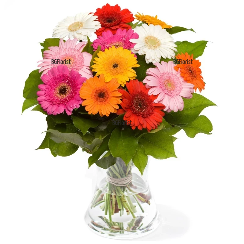 Send bouquet of mixed greberas in glass vase