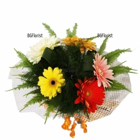Send bouquet of gerberas by courier to Sofia.