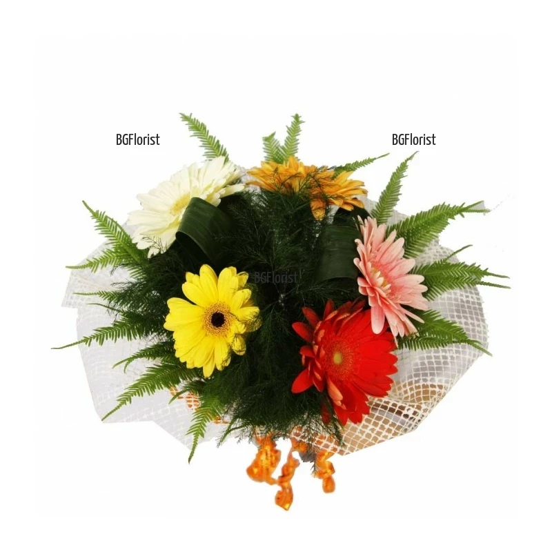 Send bouquet of gerberas by courier to Sofia.