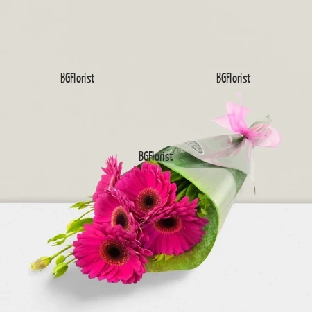 Букет от 5 розови гербери с куриер в София