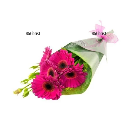 Send buquet of 5 pink gerberas by courier to Sofia.