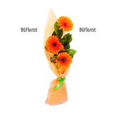Elongated bouquet of three orange gerberas and greenery - classic colouful  arrangement , perfect for all occasions.