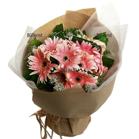 Send classic bouquet of gerberas to Sofia