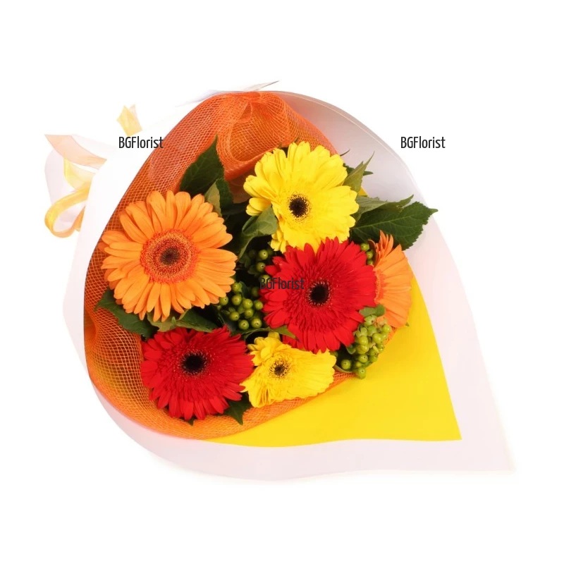 Send bouquet of gerberas by courier to Plovdiv.