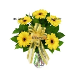 Send yellow gerberas in a vase