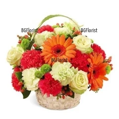 Send basket with carnations and flowers to Sofia