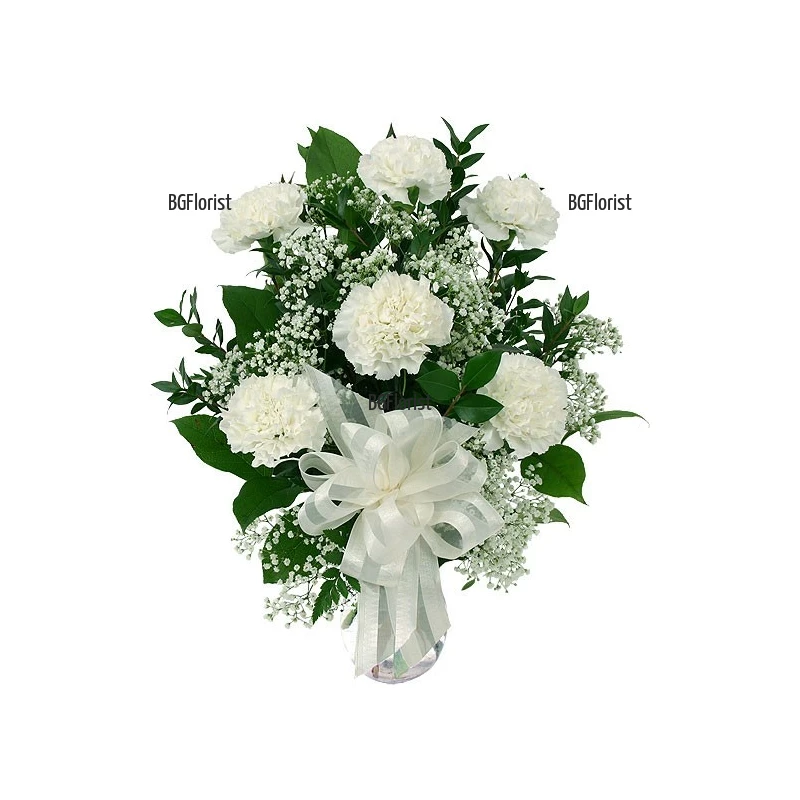 Send Bouquet of white carnations to Sofia