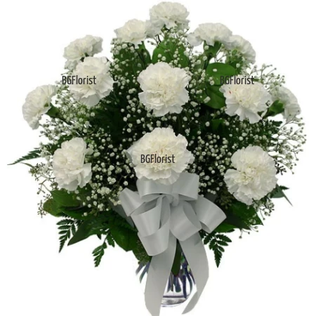 Send bouquet of white carnations and gypsophila to Sofia