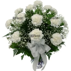 Send bouquet of white carnations and gypsophila to Sofia