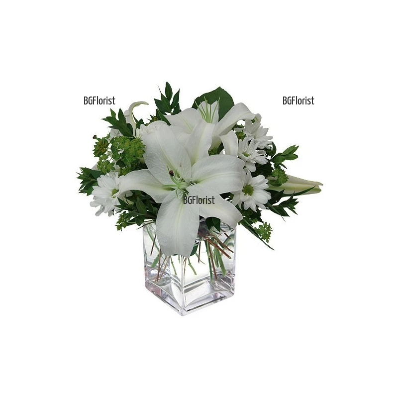 Send arrangement with white flowers to Sofia