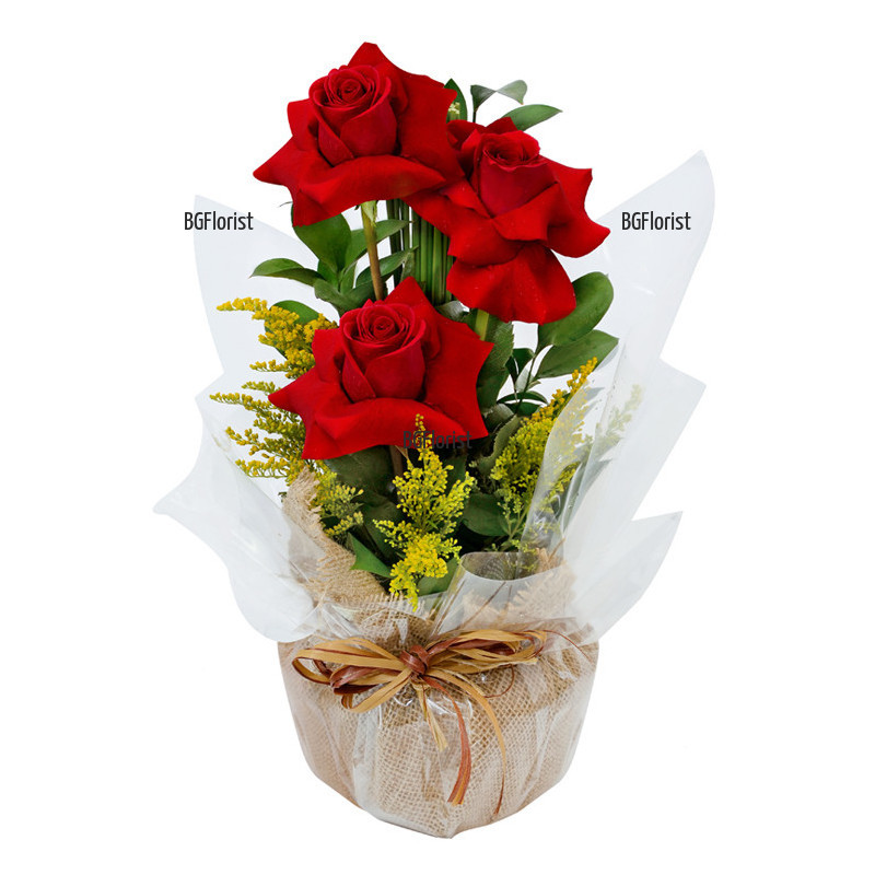 Send stylish arrangement of red roses.